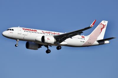 Photo of aircraft TS-IMY operated by Tunisair