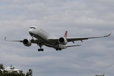 Photo of aircraft TC-LGF operated by Turkish Airlines