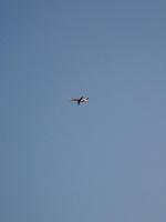 Image of aircraft registration G-RJXC - A ERJ-145 operated by BMI Regional