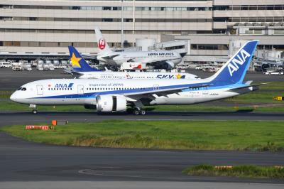 Photo of aircraft JA834A operated by ANA All Nippon Airways