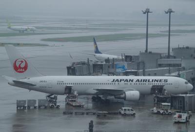 Photo of aircraft JA615J operated by Japan Airlines