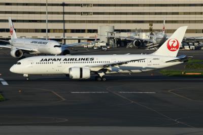 Photo of aircraft JA848J operated by Japan Airlines