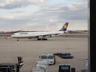 Image of aircraft registration D-AIGZ - A A340-313 operated by Lufthansa
