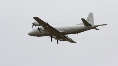 Photo of aircraft 60+06 operated by German Navy (Marineflieger)