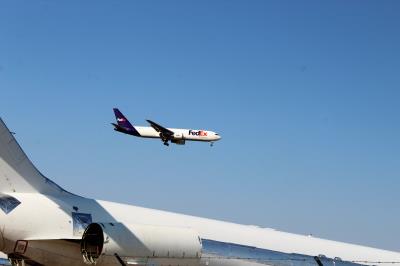 Photo of aircraft N137FE operated by Federal Express (FedEx)