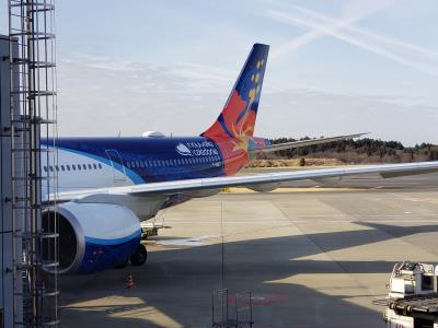 Image of aircraft registration F-ONET - A A330-941 operated by Air Calin