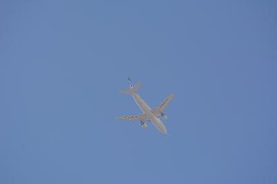 Photo of aircraft EP-IBC operated by Iran Air