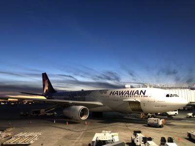 Photo of aircraft N386HA operated by Hawaiian Airlines