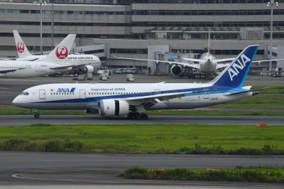 Photo of aircraft JA817A operated by ANA All Nippon Airways