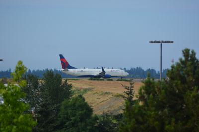Image of aircraft registration N399DA - A 737-832(WL) operated by Delta Air Lines