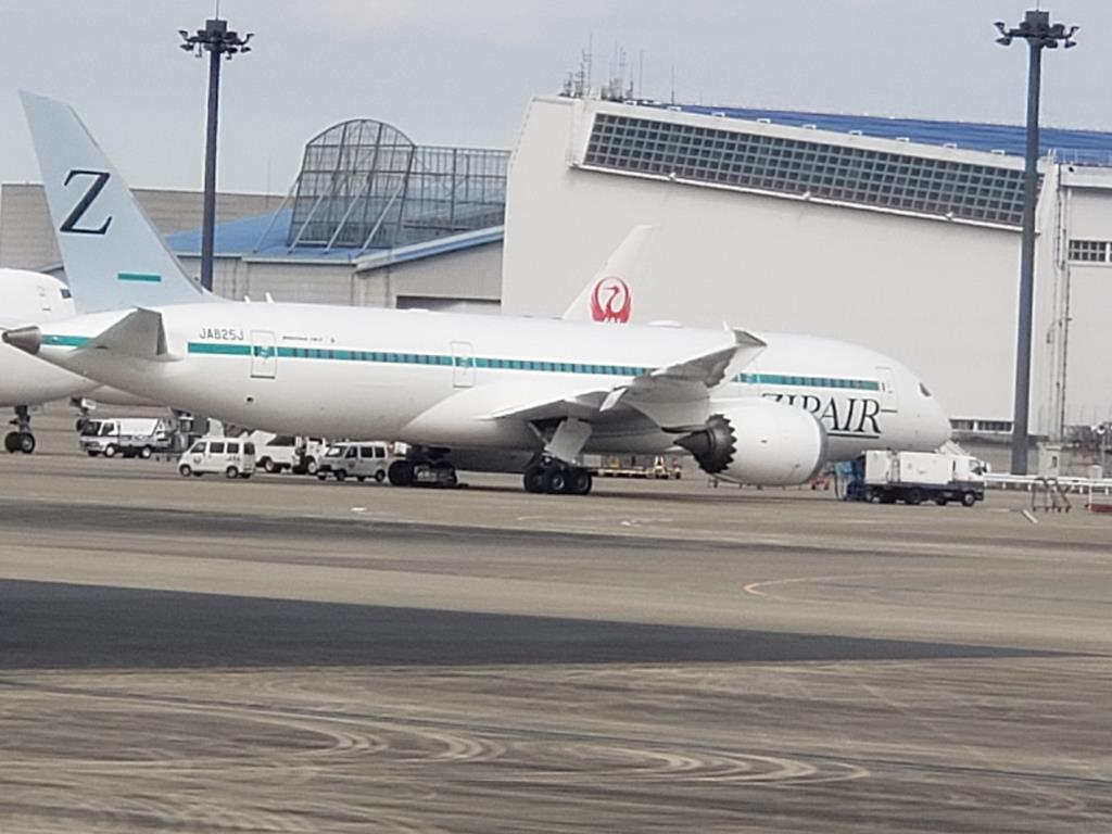 Photo of aircraft JA825J operated by ZIPAIR Tokyo