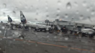Photo of aircraft N558AS operated by Alaska Airlines