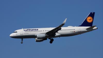 Photo of aircraft D-AIUF operated by Lufthansa