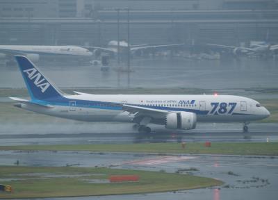 Photo of aircraft JA812A operated by All Nippon Airways