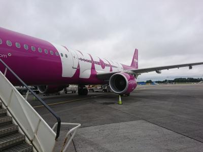 Image of aircraft registration TF-MOM - A A321 operated by Wow Air