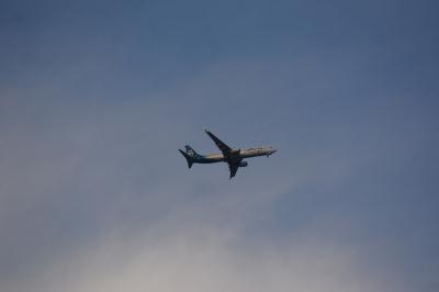 Image of aircraft registration N495AS - A 737-990(ER)(WL) operated by Alaska Airlines