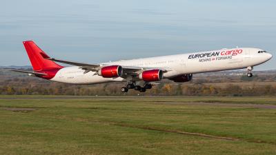 Photo of aircraft G-ECLN operated by European Cargo