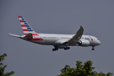 Image of aircraft registration N816AA - A 787-8 Dreamliner operated by American Airlines