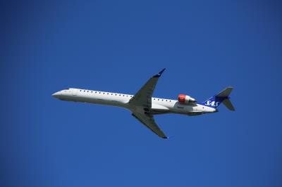 Photo of aircraft EI-GEF operated by SAS Scandinavian Airlines