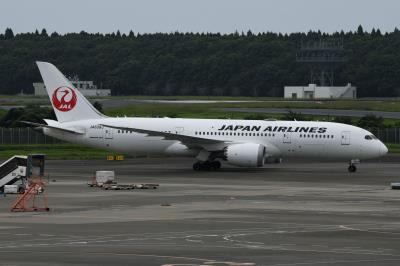 Photo of aircraft JA839J operated by Japan Airlines