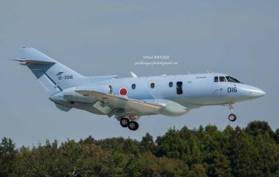 Photo of aircraft 12-3016 operated by Japan Air Self-Defence Force (JASDF)