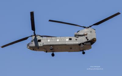 Photo of aircraft 2504 operated by United Arab Emirates Air Force