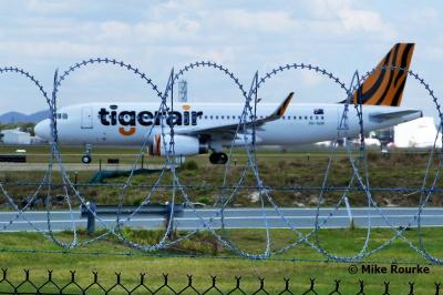 Photo of aircraft VH-XUH operated by Tigerair Australia