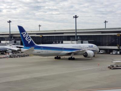 Image of aircraft registration JA839A - A 787-9 Dreamliner operated by All Nippon Airways