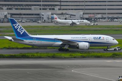 Photo of aircraft JA802A operated by ANA All Nippon Airways