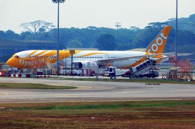 Photo of aircraft 9V-OJB operated by Scoot