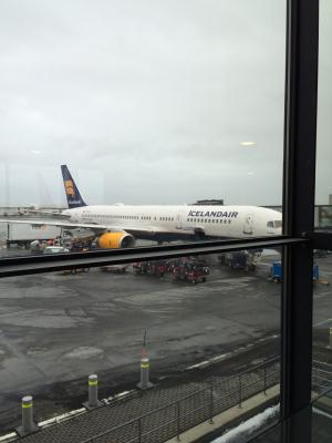 Photo of aircraft TF-FIO operated by Icelandair