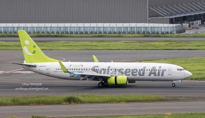 Image of aircraft registration JA810X - A 737-86N(WL) operated by Solaseed Air