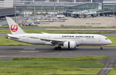 Photo of aircraft JA834J operated by Japan Airlines