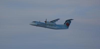 Image of aircraft registration C-GABO - A DHC-8-311 operated by Air Canada Express