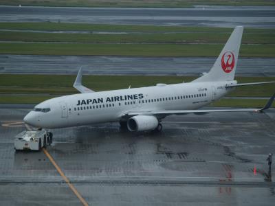 Photo of aircraft JA348J operated by Japan Airlines