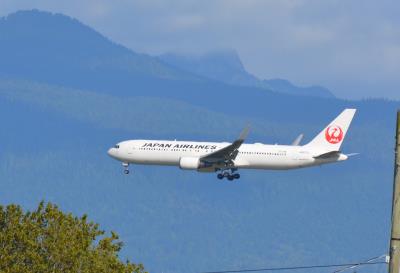 Photo of aircraft JA617J operated by Japan Airlines