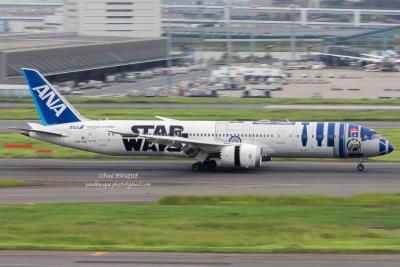 Image of aircraft registration JA873A - A 787-9 Dreamliner operated by All Nippon Airways