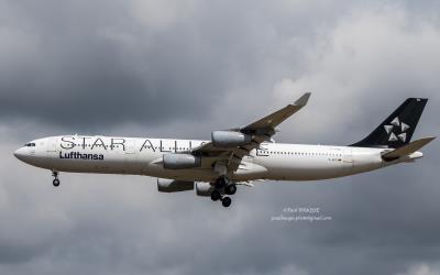 Image of aircraft registration D-AIFE - A A340-313 operated by Lufthansa