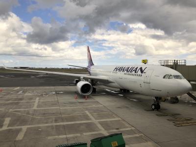 Photo of aircraft N391HA operated by Hawaiian Airlines