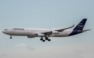 Image of aircraft registration D-AIGM - A A340-313 operated by Lufthansa