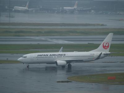 Photo of aircraft JA341J operated by Japan Airlines