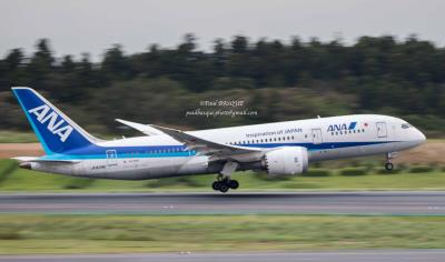 Photo of aircraft JA828A operated by All Nippon Airways