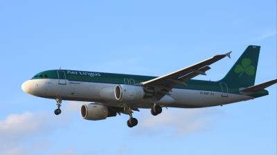 Photo of aircraft EI-EDP operated by Aer Lingus
