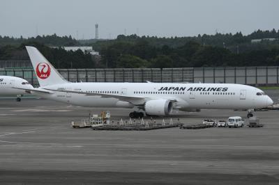 Photo of aircraft JA866J operated by Japan Airlines