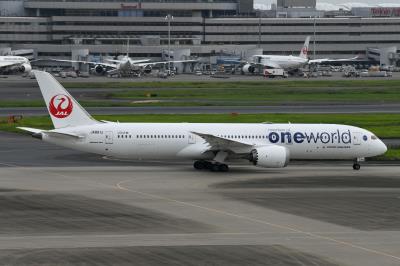 Photo of aircraft JA861J operated by Japan Airlines