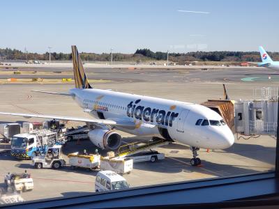 Image of aircraft registration B-50016 - A A320-232(WL) operated by Tigerair Taiwan