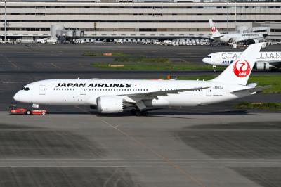 Photo of aircraft JA833J operated by Japan Airlines