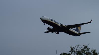 Photo of aircraft EI-DYL operated by Ryanair