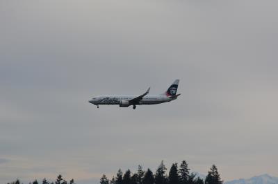 Image of aircraft registration N537AS - A 737-890(WL) operated by Alaska Airlines