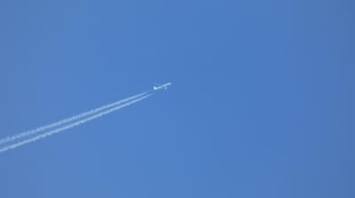 Photo of aircraft D-ATCB operated by Condor